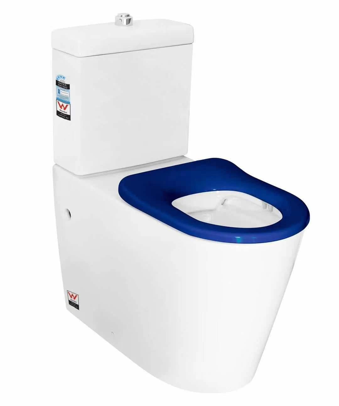 Tolo Special Care Disable Rimless Toilet 6018