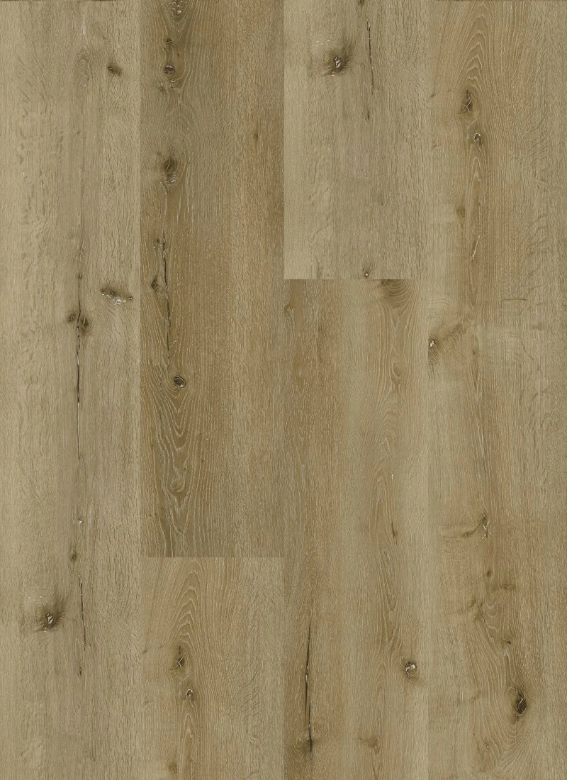 Chelsea Oak