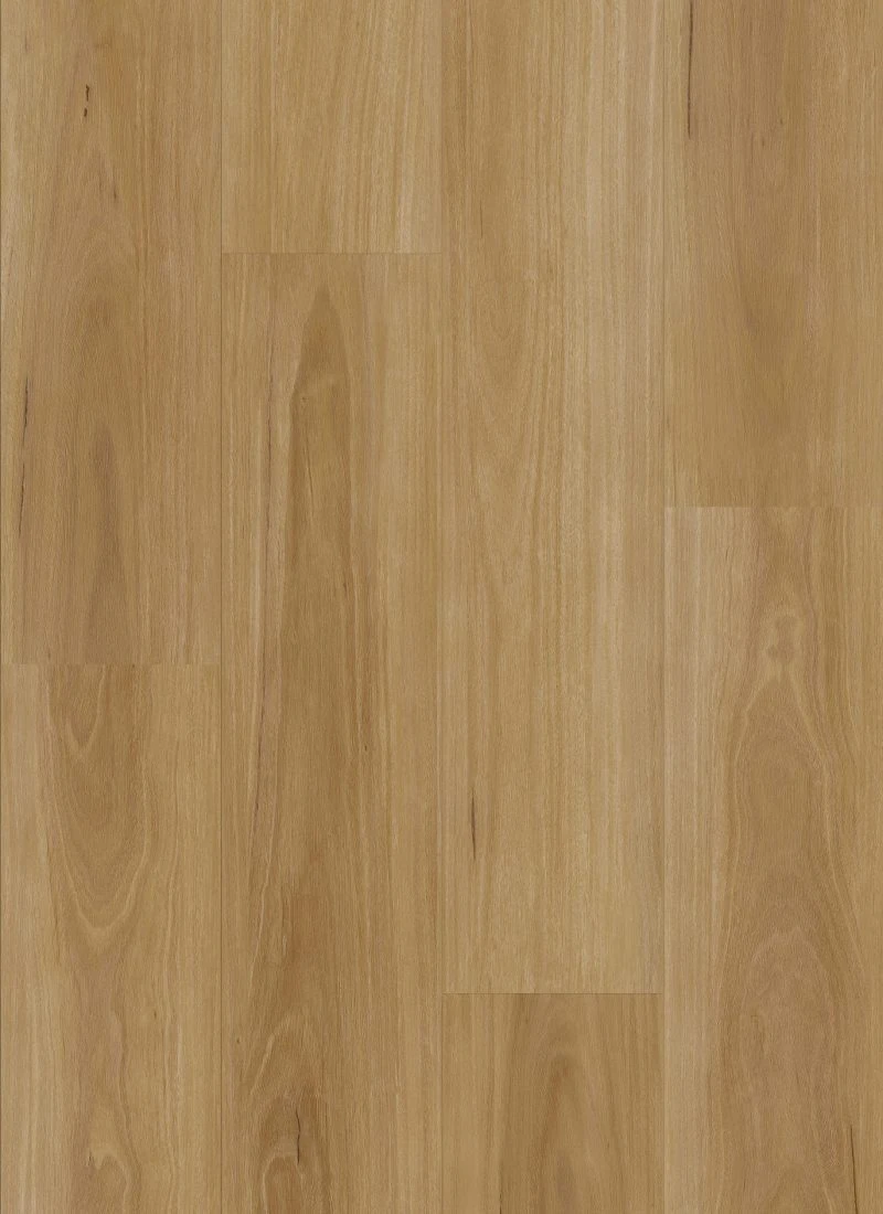 Classic Blackbutt