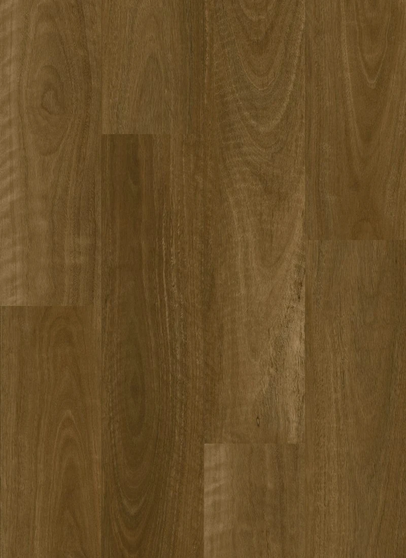 Smoked Spotted Gum