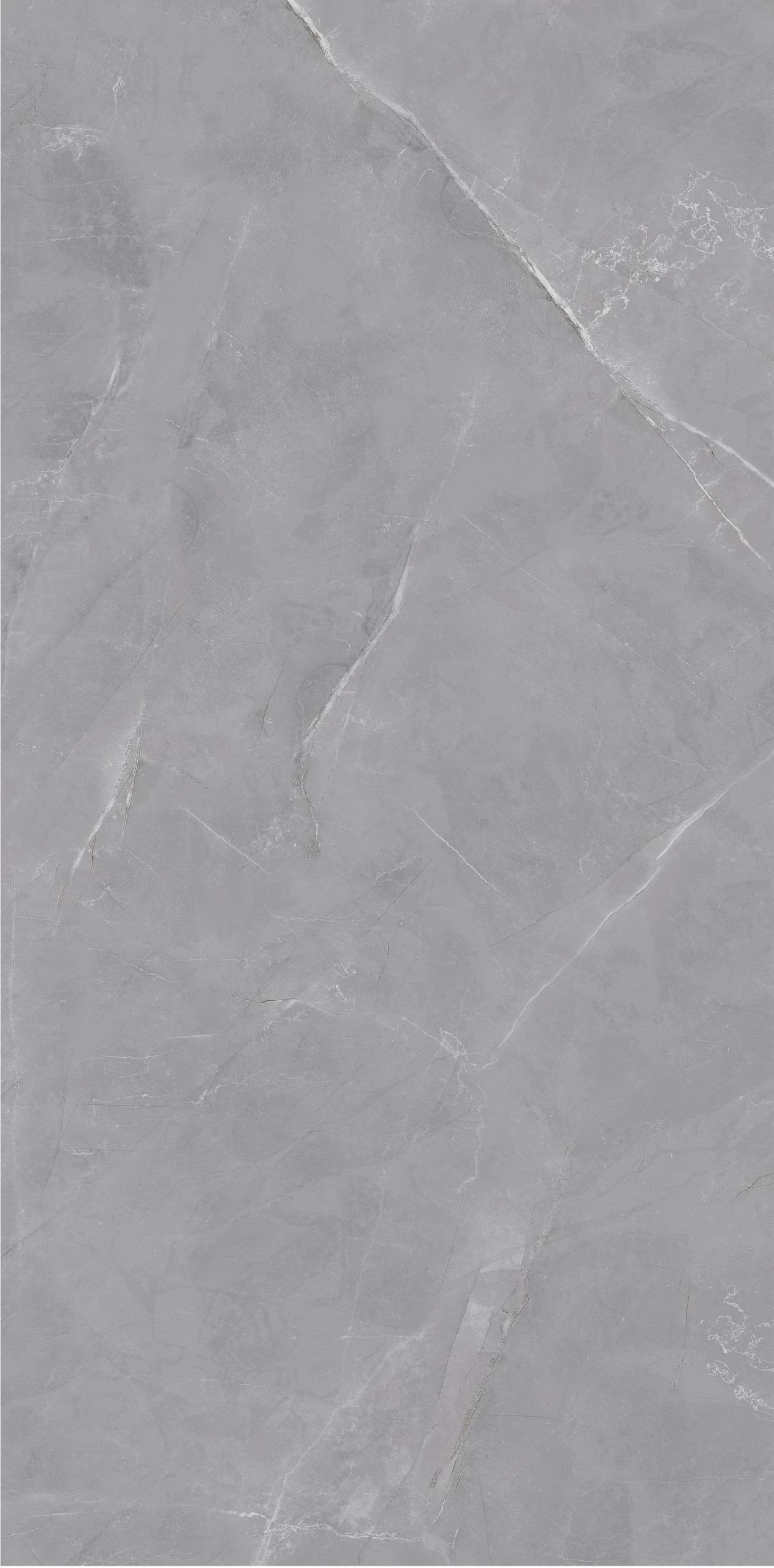 Pulpis Grey Silky