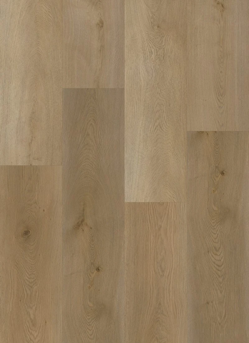 Blonde Oak