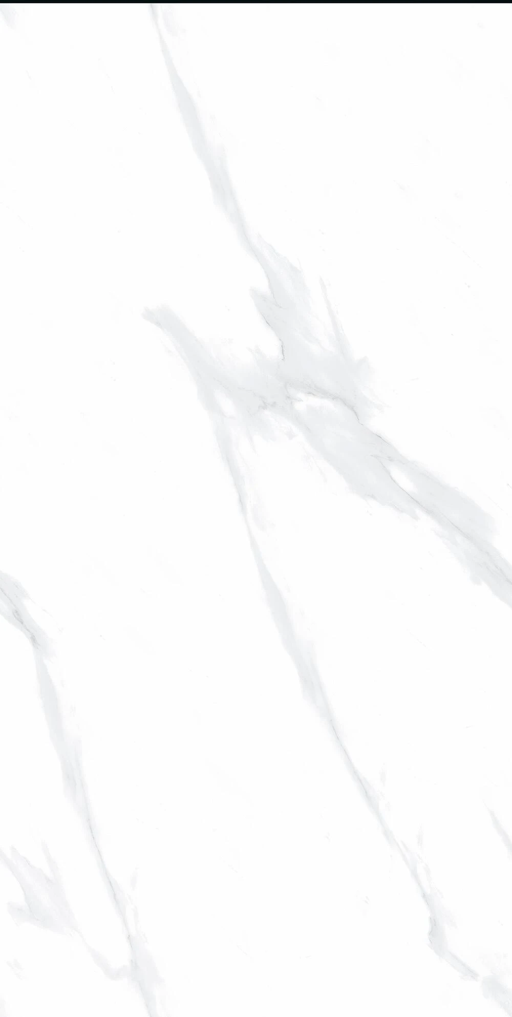 Carrara White 2