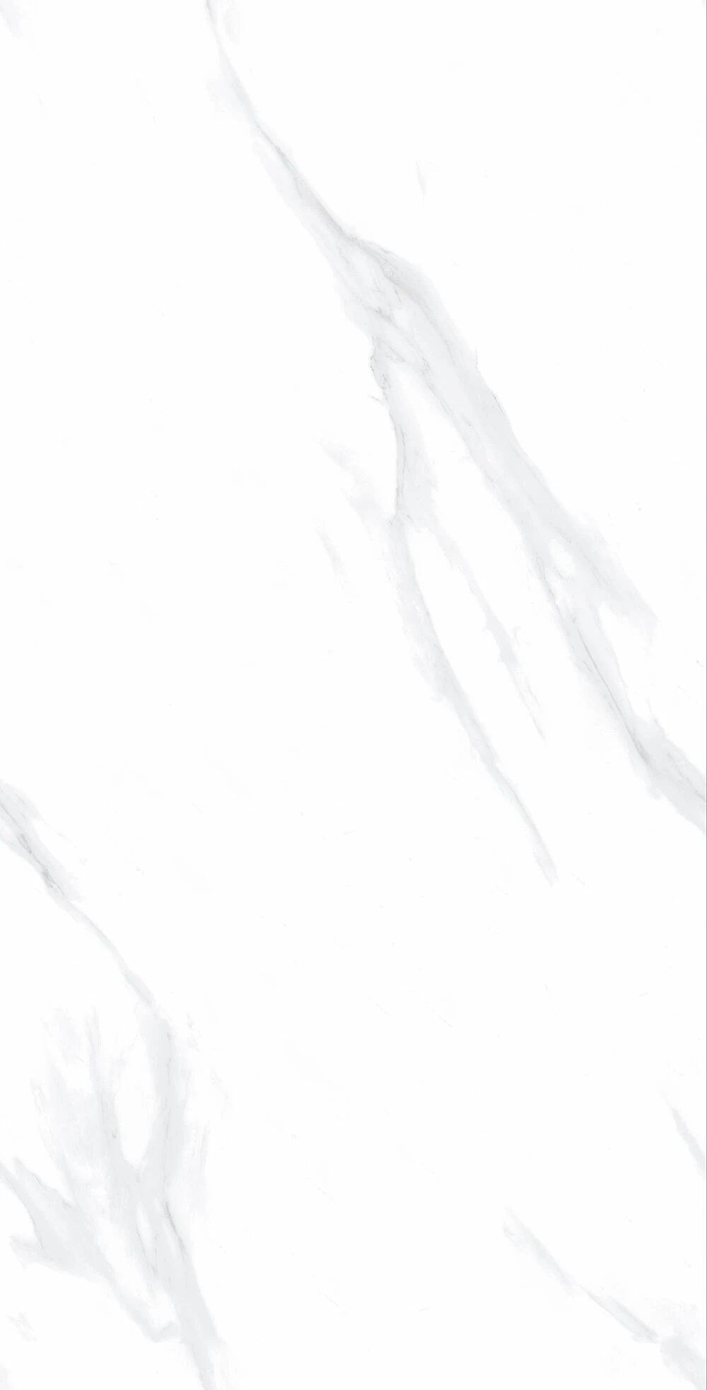 Carrara White 4