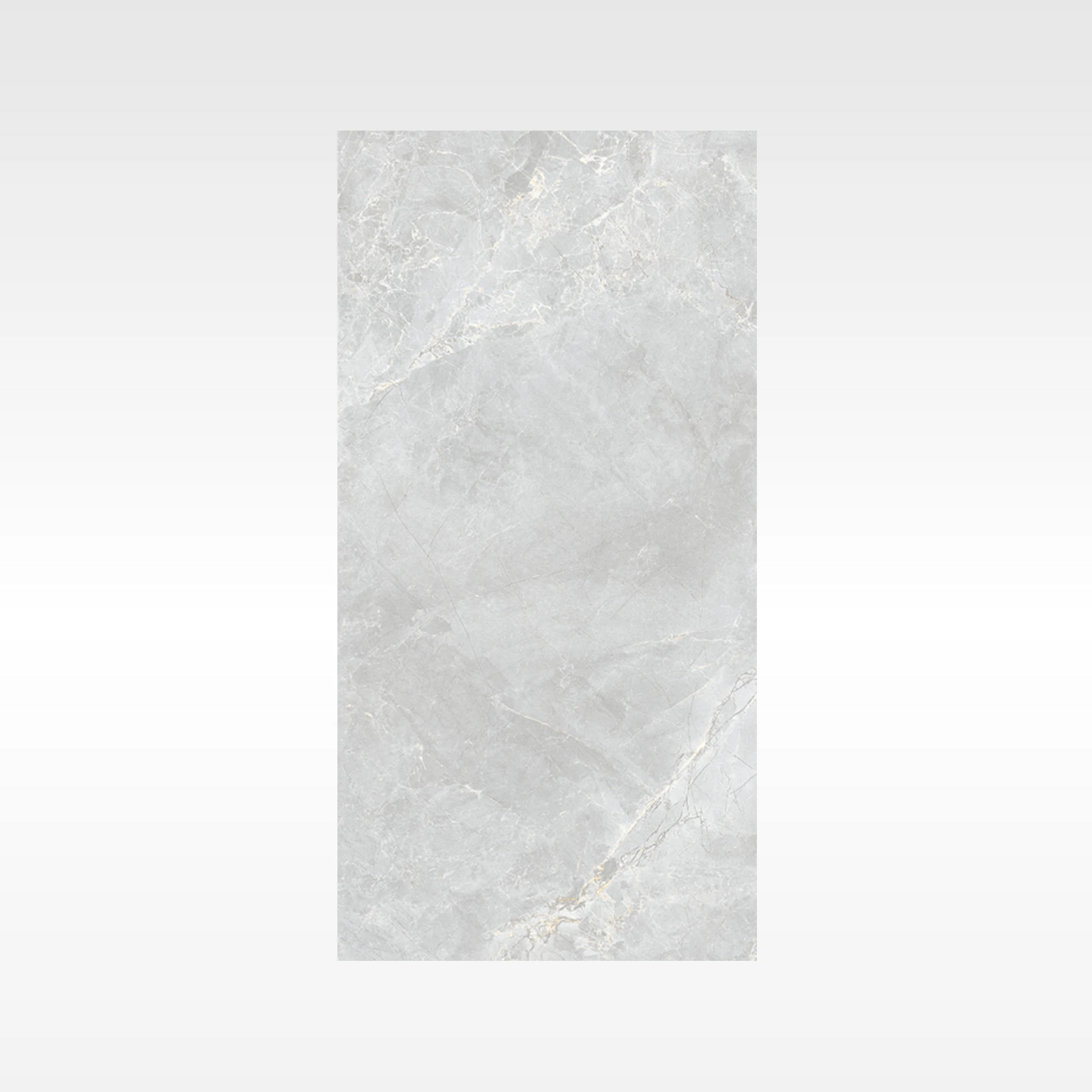 Caesarstone Medium 300x600 In&Out Solution