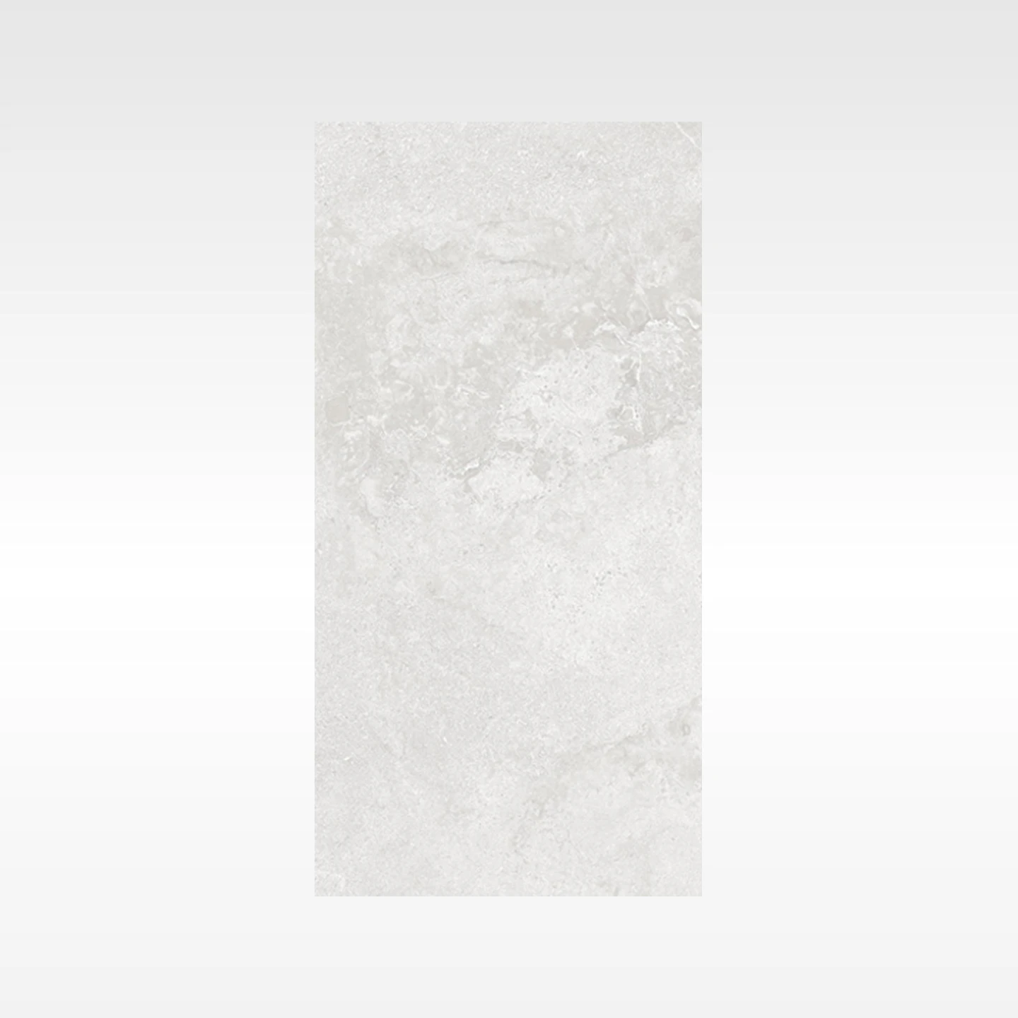 Elegance Grey 300x600 In&Out Solution