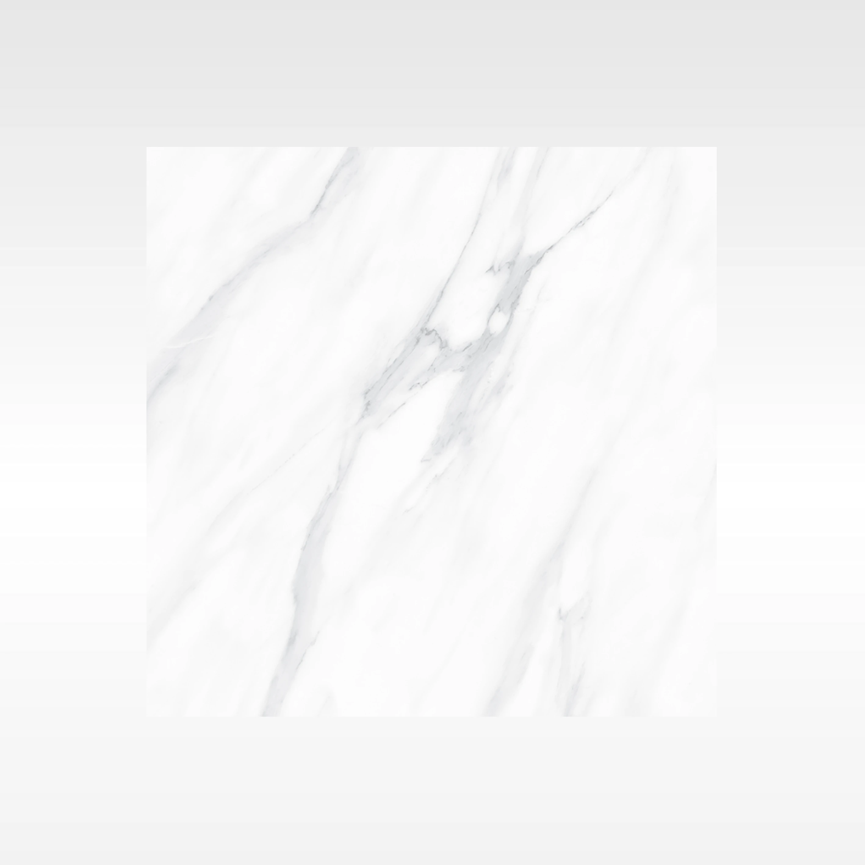 Carrara White 600x600 Matt