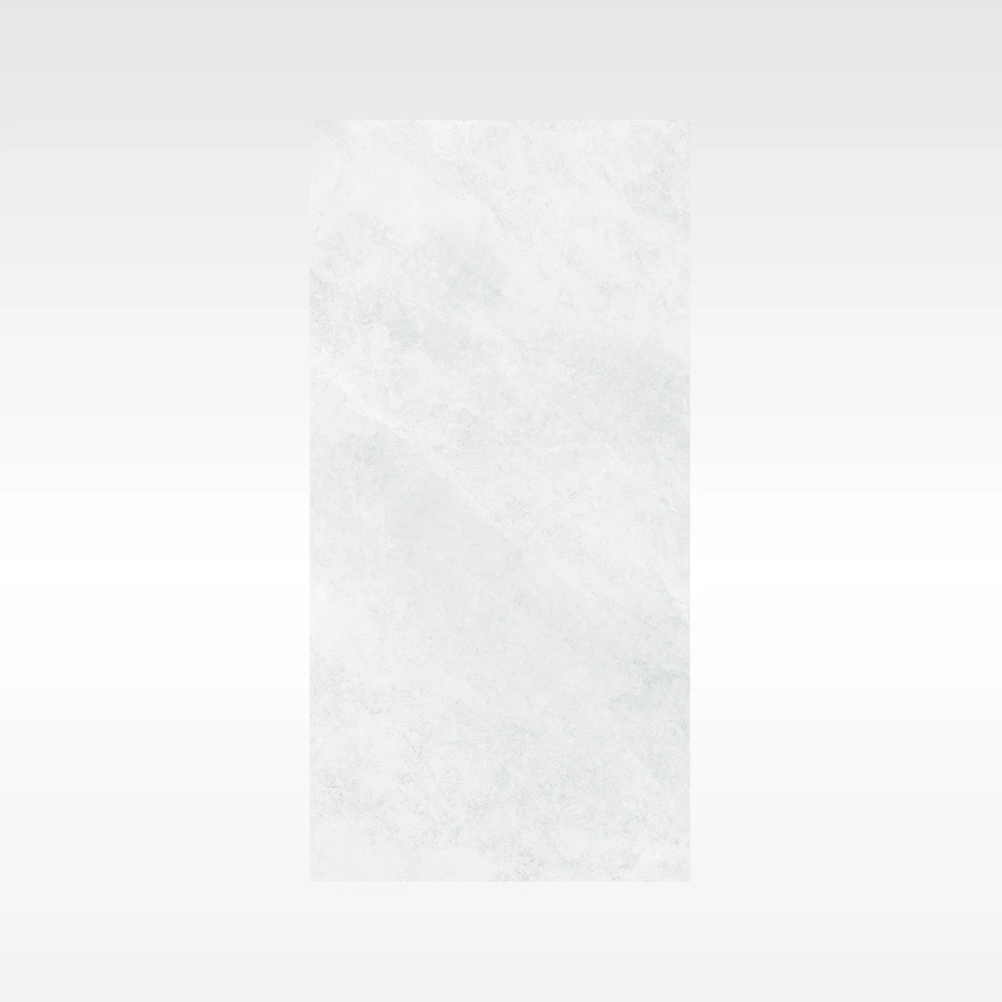 Ionic Silver 600x1200 Soft Matt