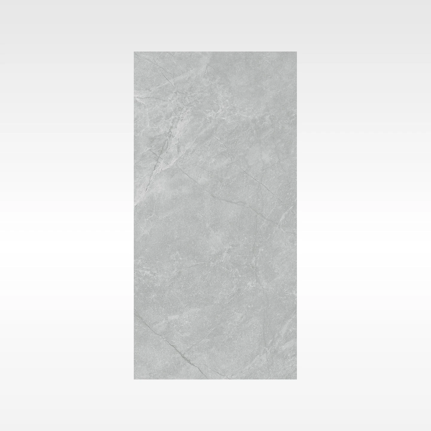 Origin Grey 300x600 Matt