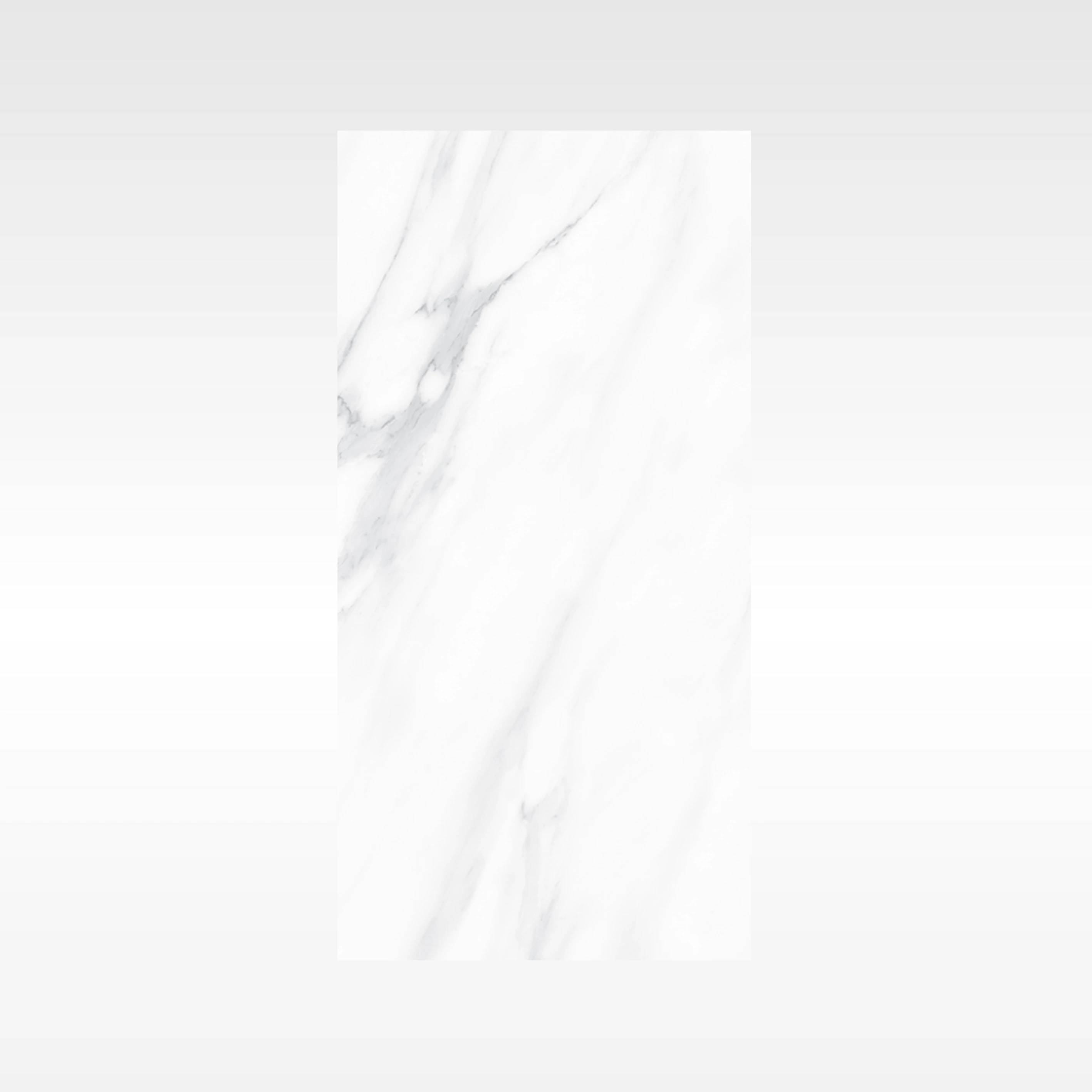 SnowWhite Grey 300x600 Polish