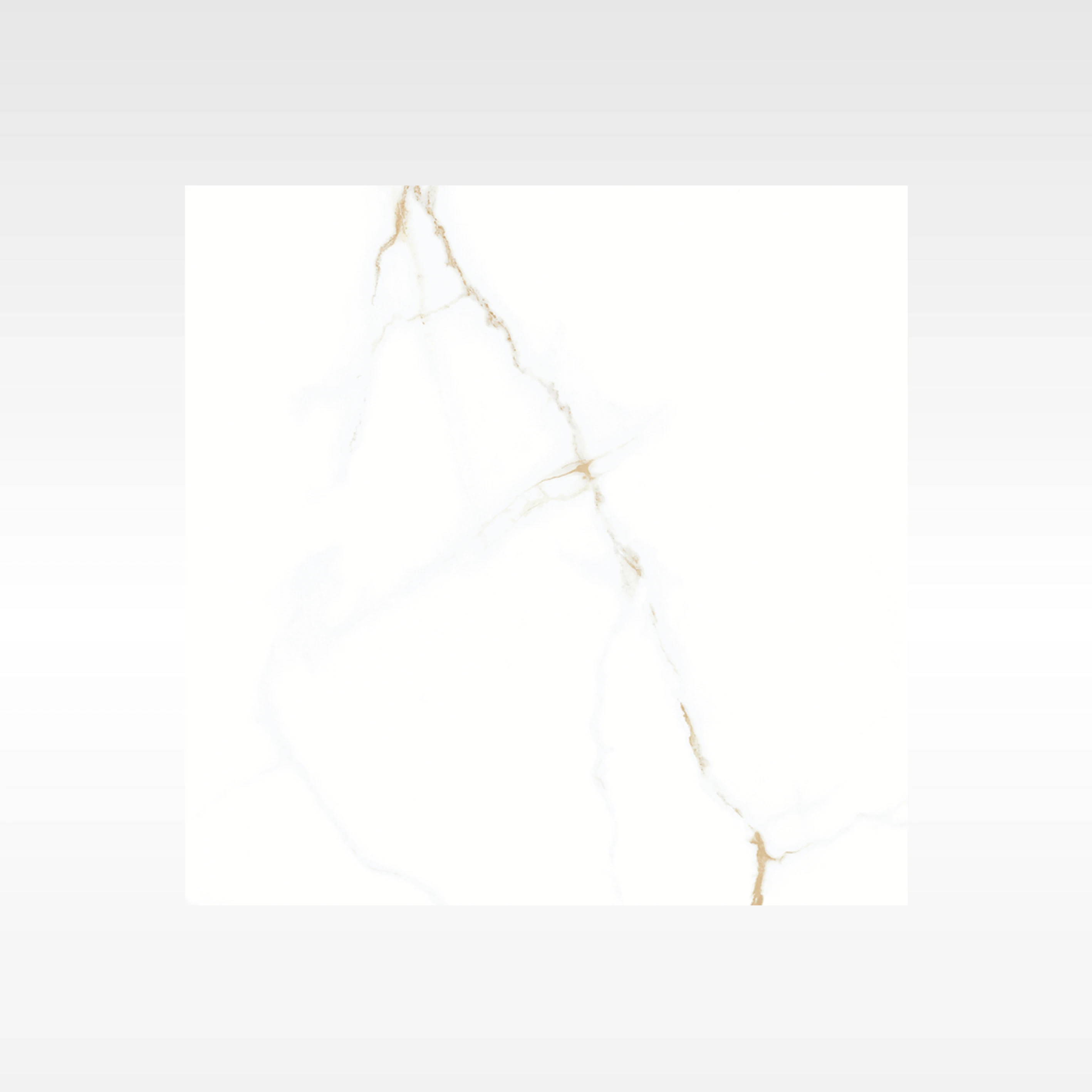 Statuario Gold 600x600 Polish