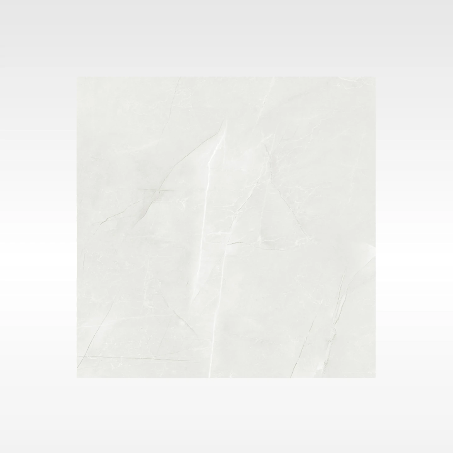 Vienna Ivory 600x600 Polish