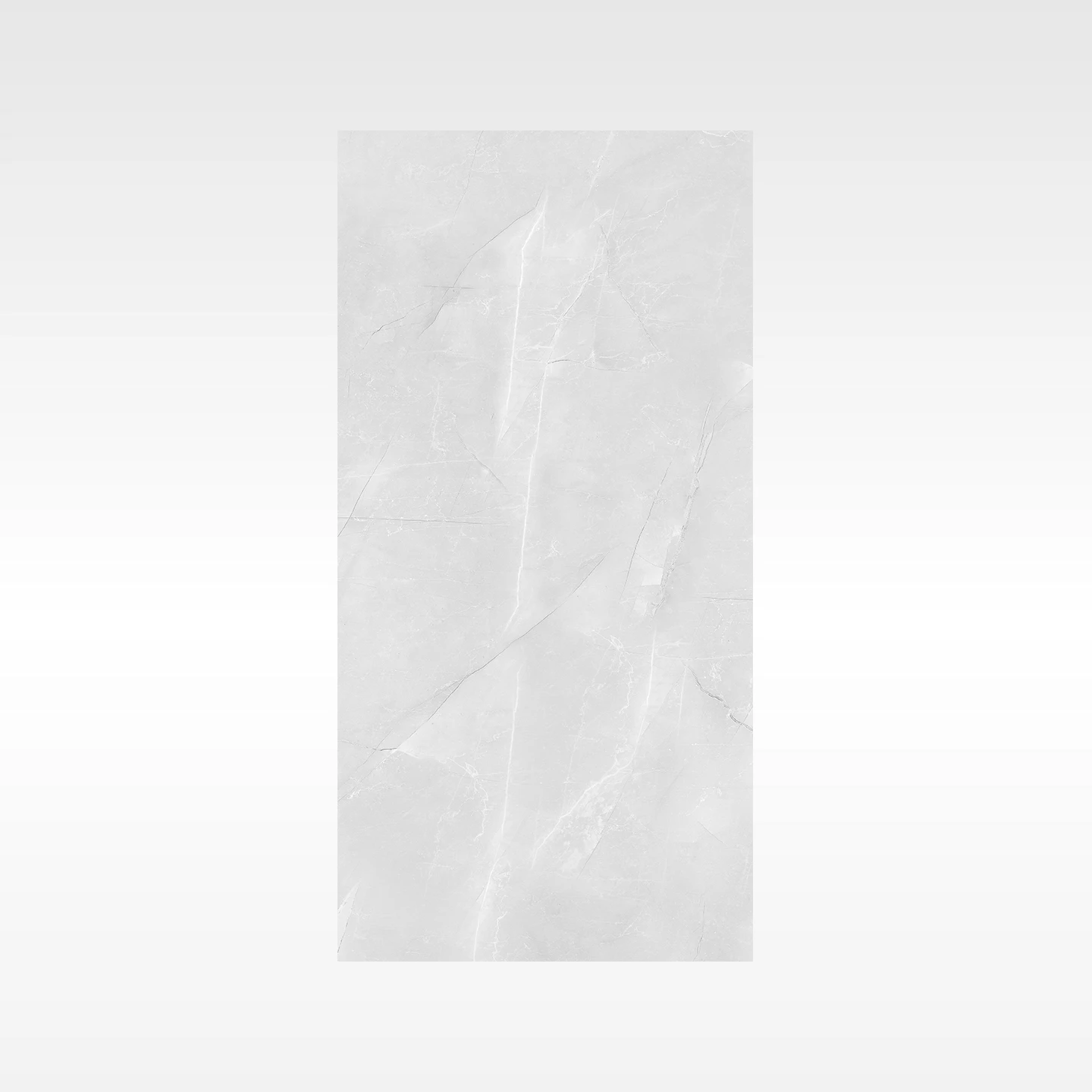 Vienna Grey 600x1200 Polish
