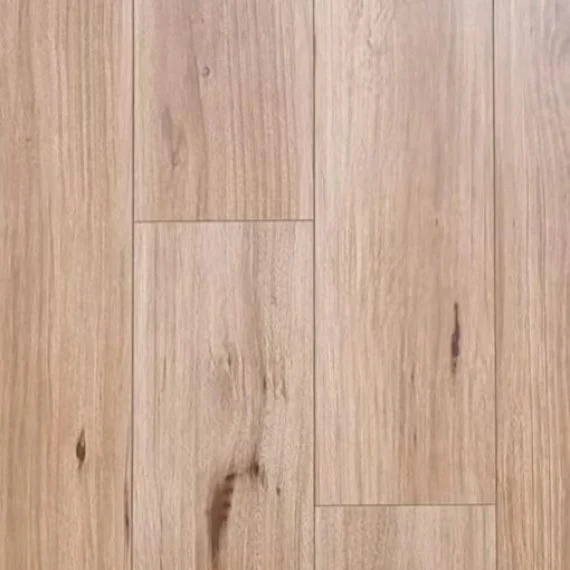 New Blackbutt