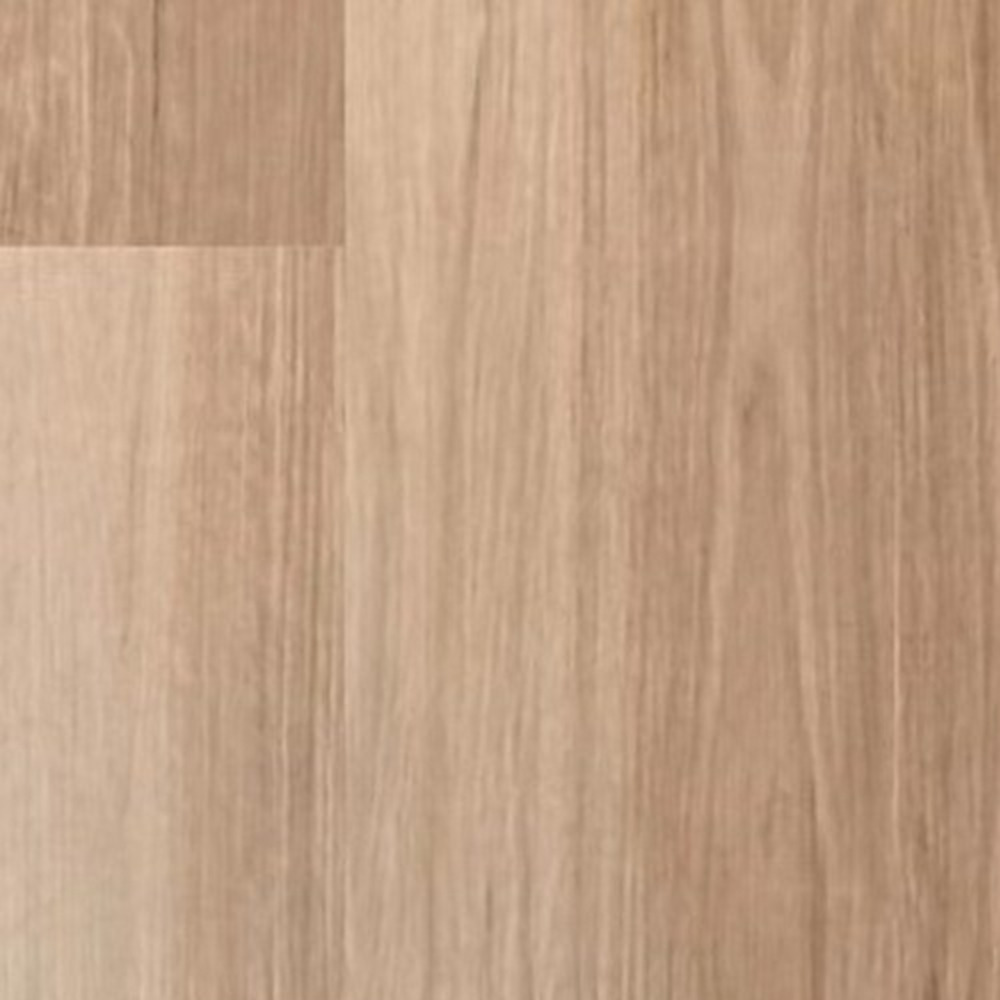 Blackbutt