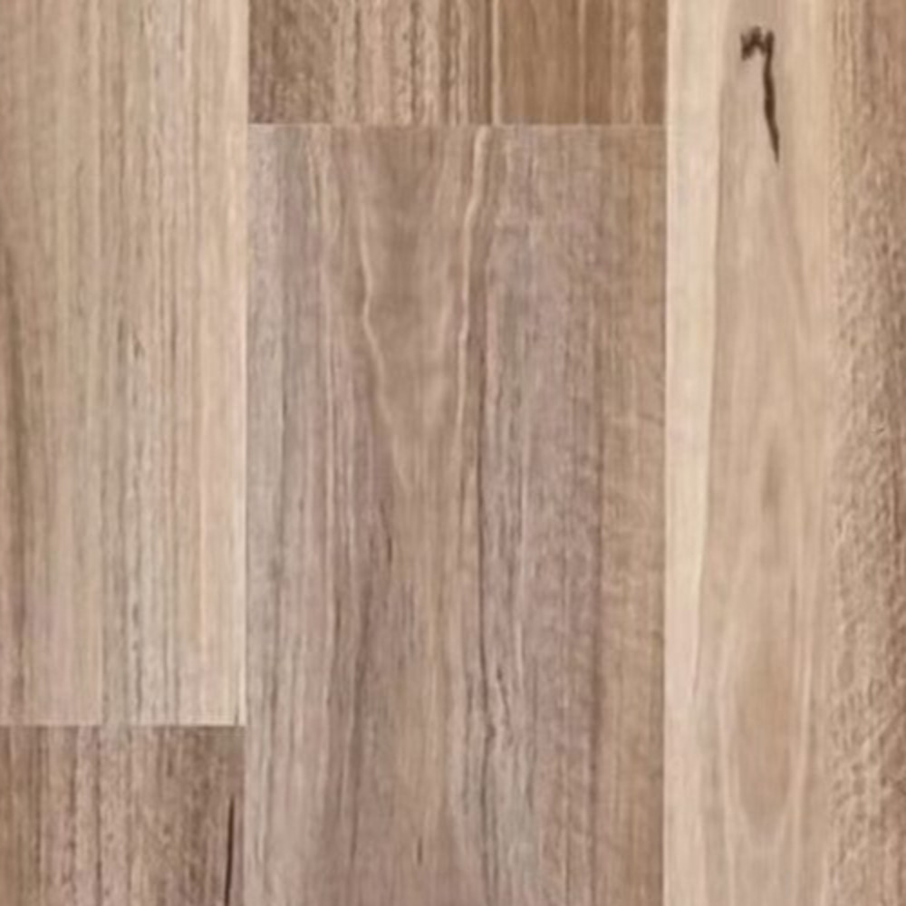 NSW Spotted Gum
