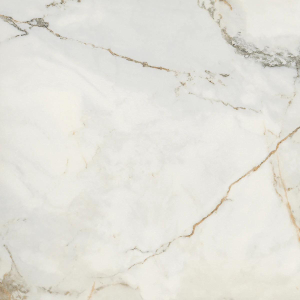 Calacatta Gold Venato
