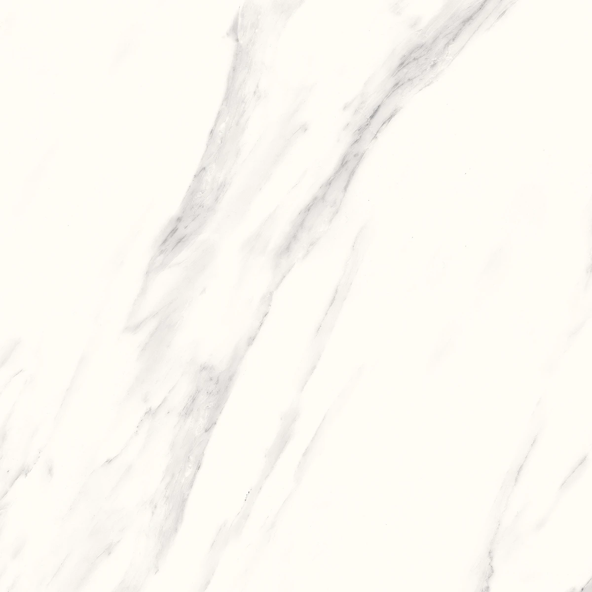 White Marble 600x600 _ 300x600 SATIN MATT _ GLOSS FINISH