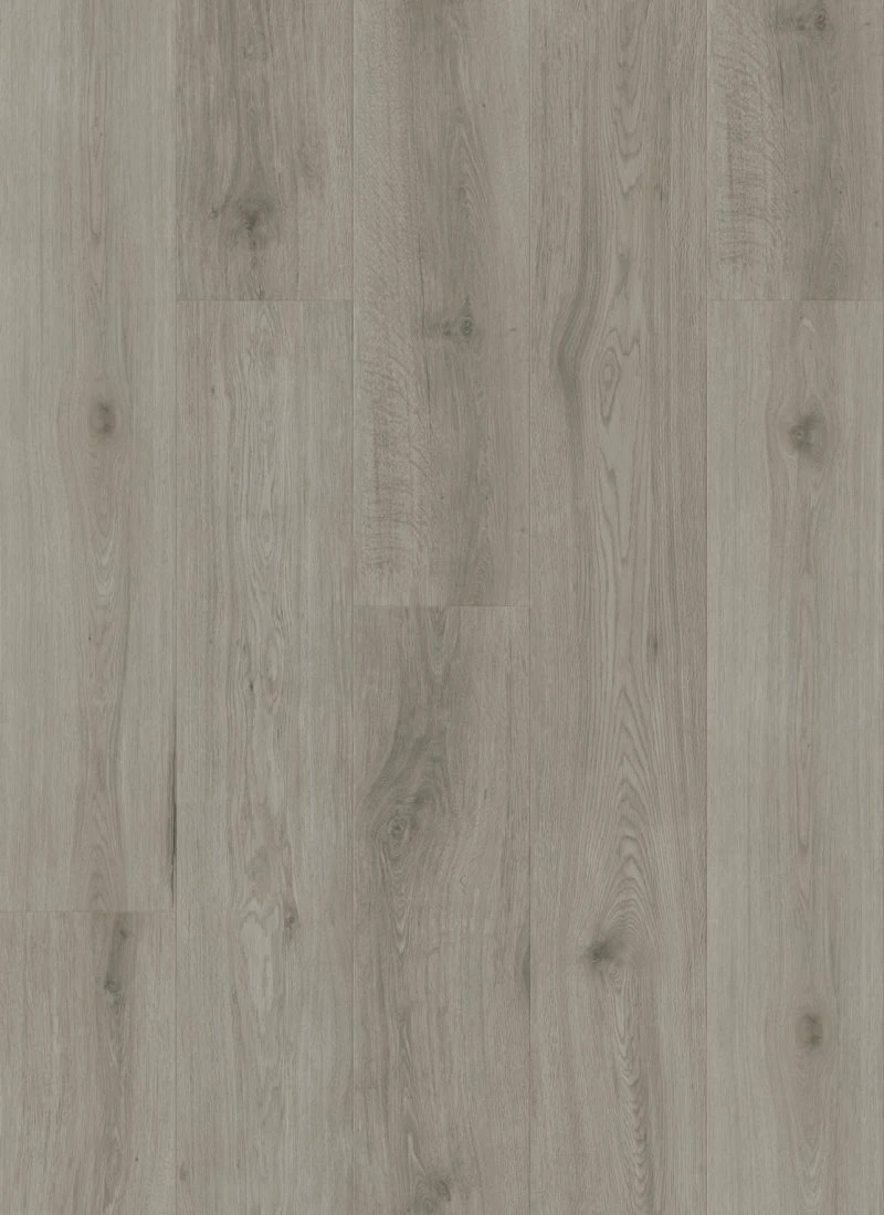 Arctic Grey