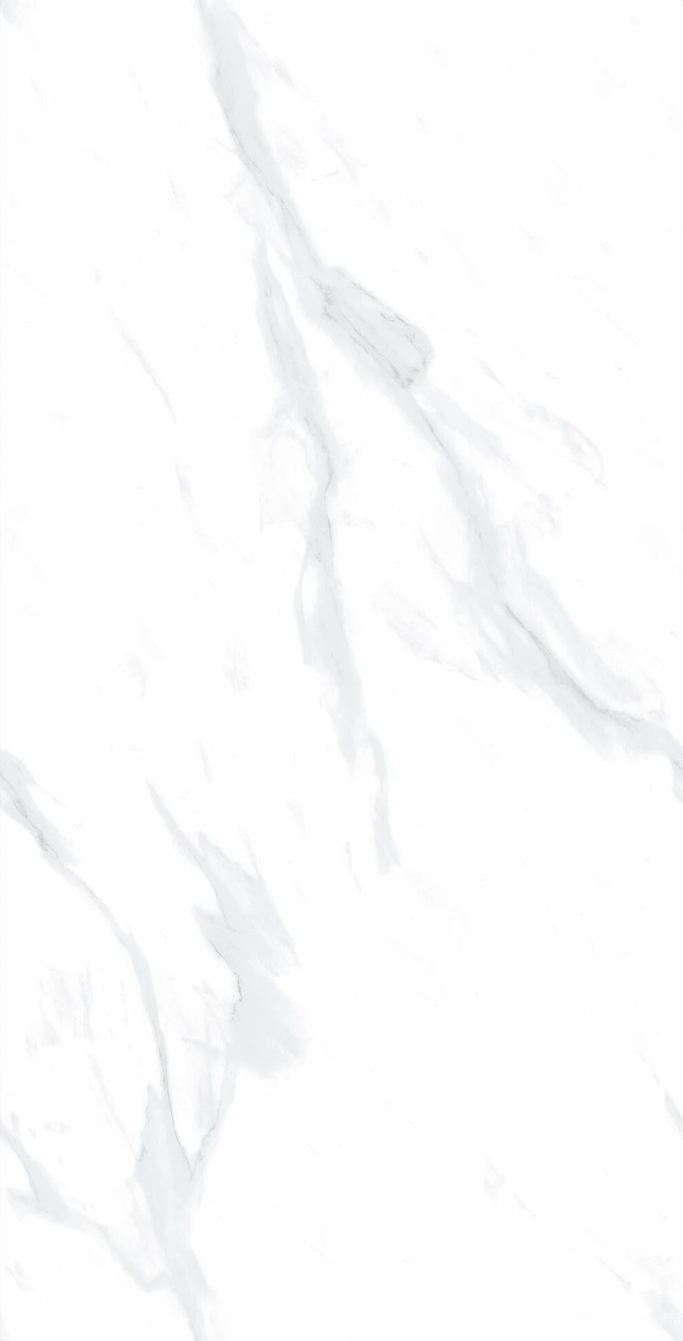Carrara White 3
