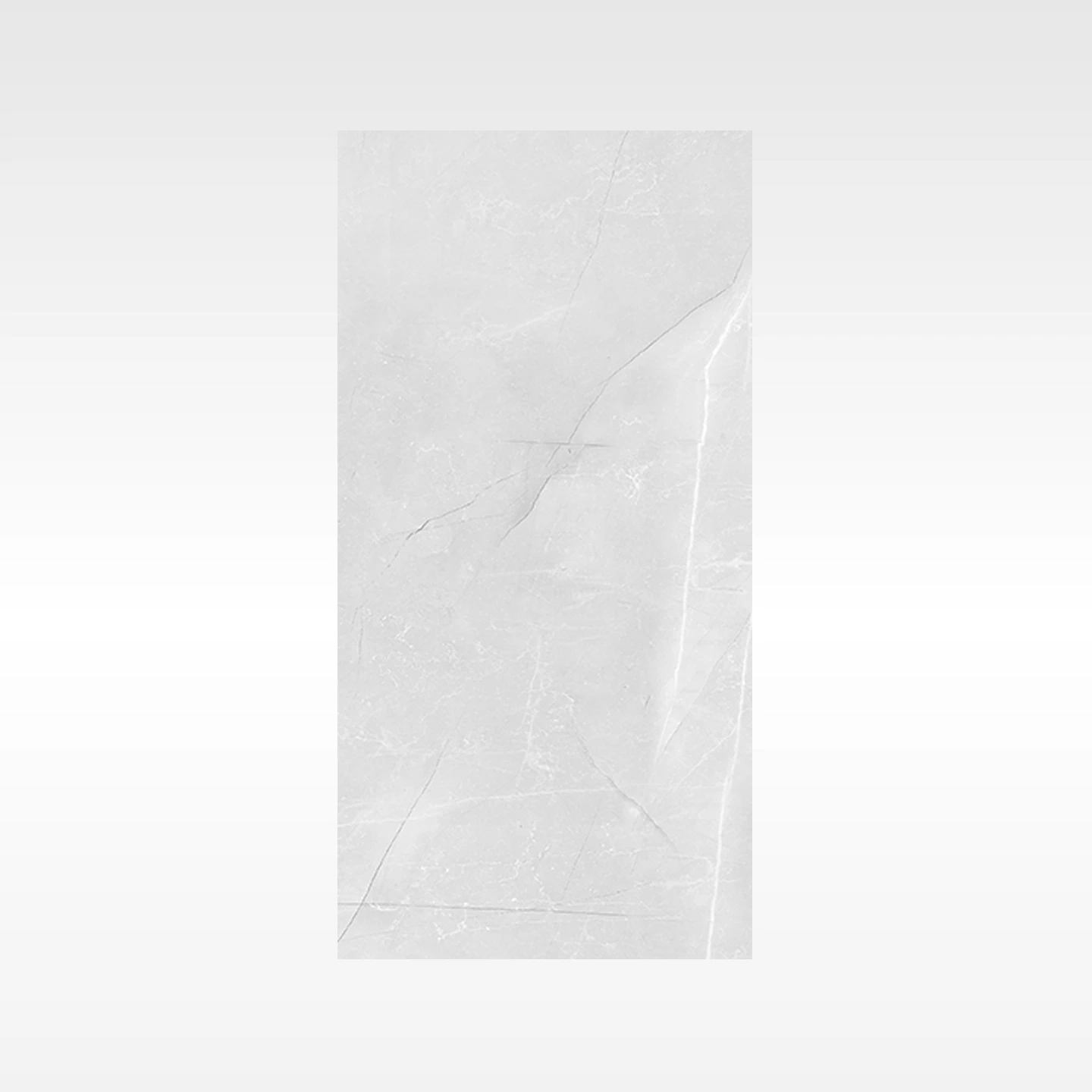 Vienna Grey 300x600 Matt