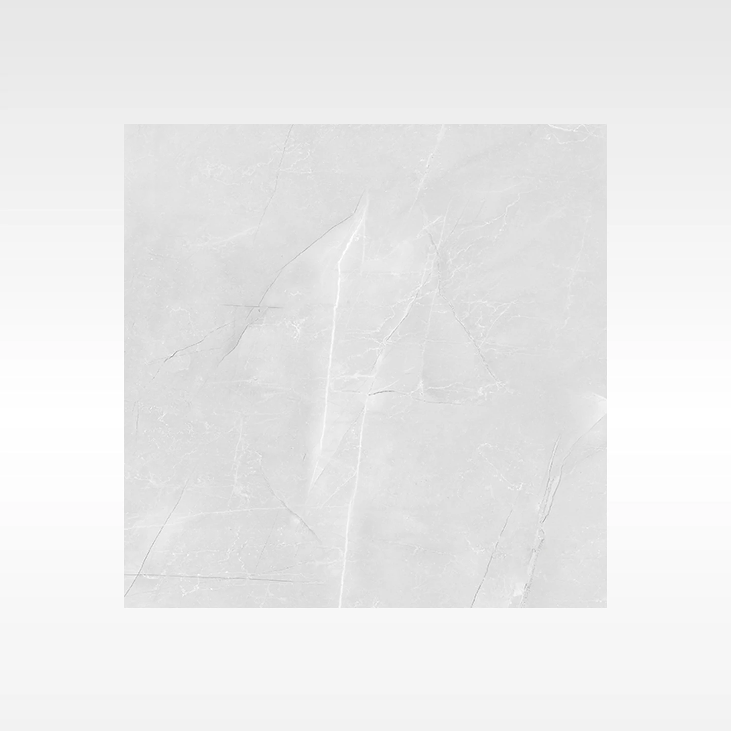 Vienna Grey 600x600 Matt